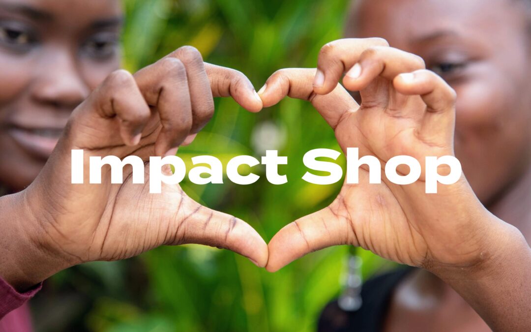 Net4kids launches Impact Shop: no glitter, but plenty of shine this Christmas